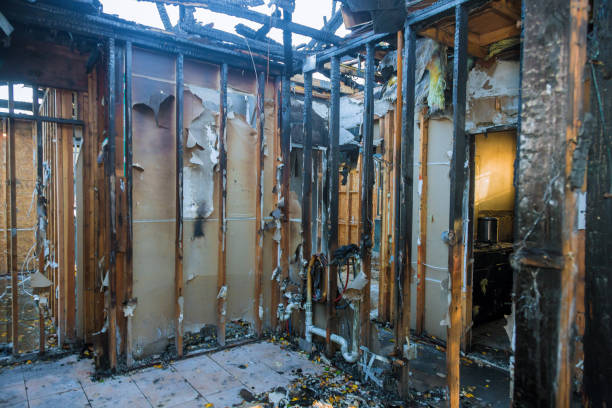 Professional Content Restoration technician working in Cabin John, MD